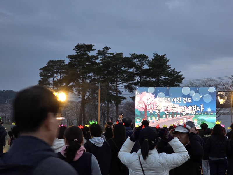 강릉 야간 경포 벚꽃 걷는 길 행사 '성료'