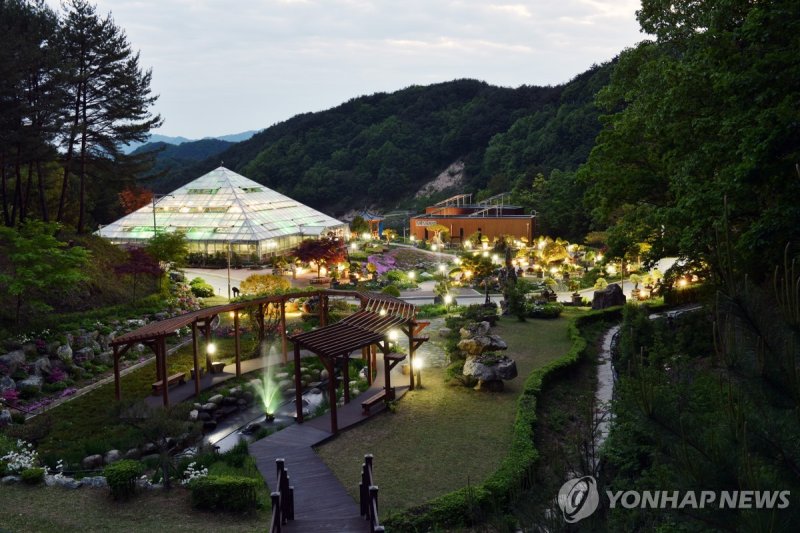 양구수목원 (출처=연합뉴스)