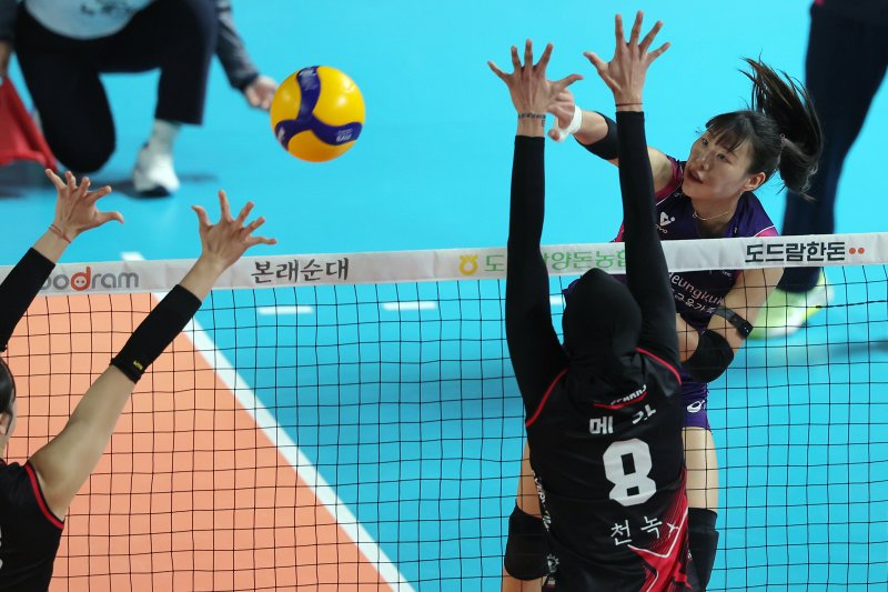 6일 오후 대전 중구 충무체육관에서 열린 프로배구 '2024-2025 도드람 V리그' 여자부 챔피언결정전 4차전, 정관장과 흥국생명의 경기에서 흥국생명 정윤주가 공격을 펼치고 있다. 2025.4.6/뉴스1 ⓒ News1 박정호 기자