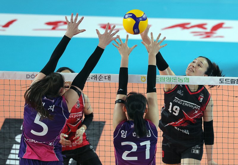 6일 오후 대전 중구 충무체육관에서 열린 프로배구 '2024-2025 도드람 V리그' 여자부 챔피언결정전 4차전, 정관장과 흥국생명의 경기에서 정관장 표승주가 공격을 펼치고 있다. 2025.4.6/뉴스1 ⓒ News1 박정호 기자