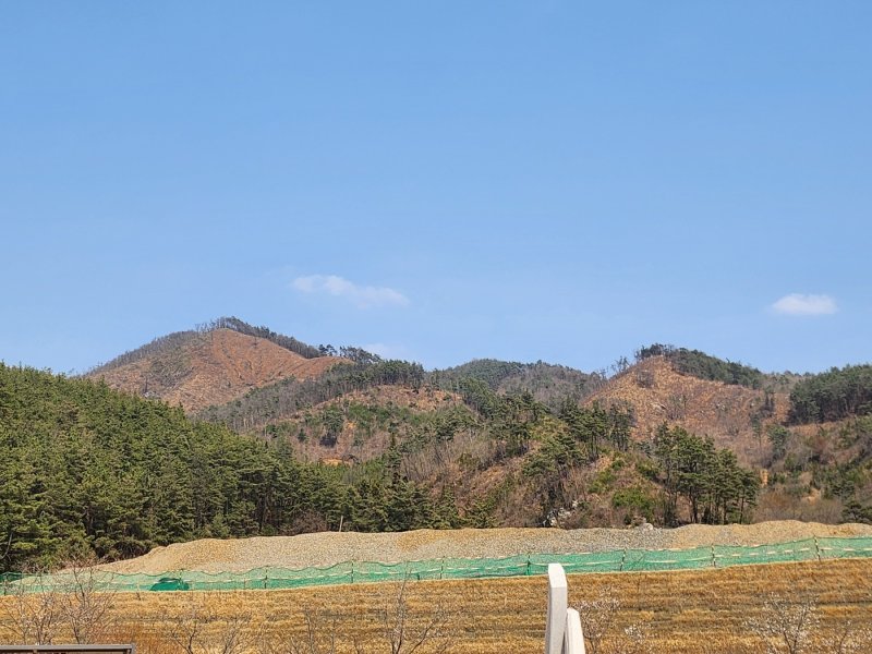 지난 4일 전남 순천 송광면 일원 산봉우리. 2년 전 대형산불로 나무들이 듬성듬성 심어져 있다.2025.4.4/뉴스1 ⓒ News1 김동수 기자