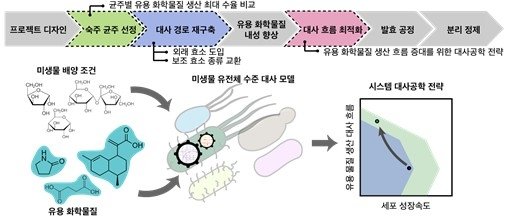 미생물 세포 공장 개량 연구 모식도 (출처=연합뉴스)