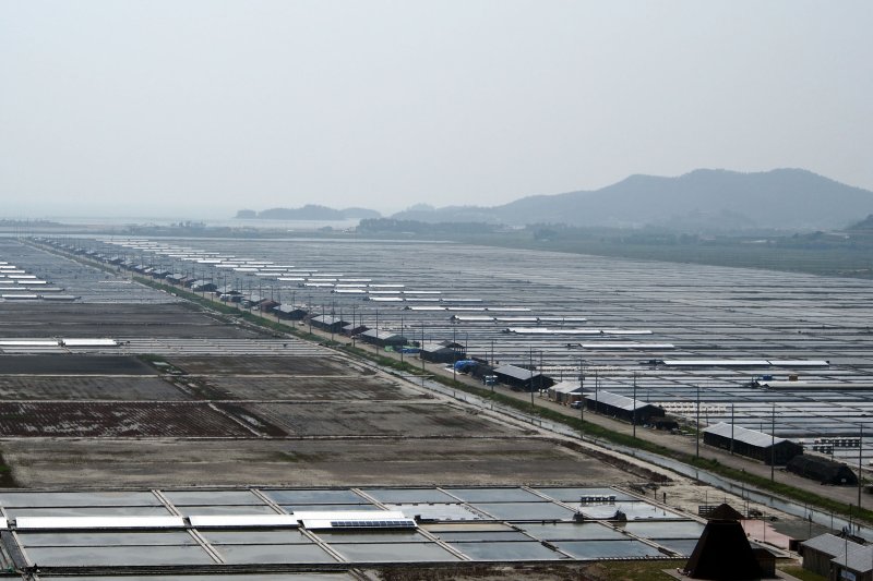 【신안=뉴시스】박상수 기자 = 미국 세관국경보호청(CBP)은 지난 3일 한국의 태평염전에서 강제 노동으로 생산한 것으로 의심되는 천일염 제품에 대해 WRO(Withhold Release Order, 수입 보류 명령)을 내렸다고 7일 밝혔다. 사진은 단일염전으로는 국내 최대규모인 전남 신안군 증도의 태평염전 전경. 2016.05.18 (사진=태평염전 제공) photo@newsis.com