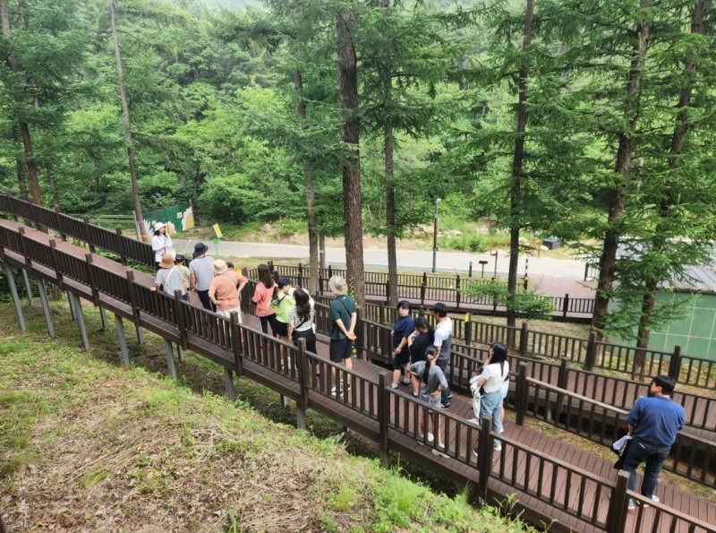 [서울=뉴시스] 한국산림복지진흥원-근로복지공단이 산재근로자와 가족을 위한 '산림치유 가족프로그램'을 진행했다. 2024.12.30. (사진=근로복지공단 제공) *재판매 및 DB 금지