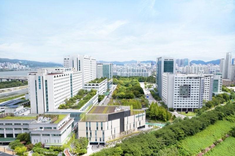김건희 여사 병원에 '치킨배달'시킨 지지자..."마약한다" 경찰 신고도