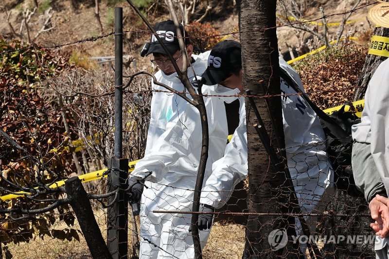 '언양 산불 원인은' (출처=연합뉴스)