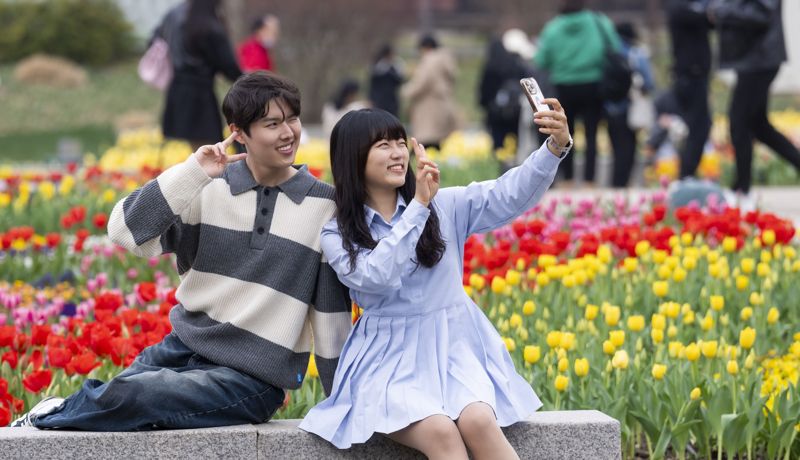 튤립이 만개한 포시즌스가든. 에버랜드 제공