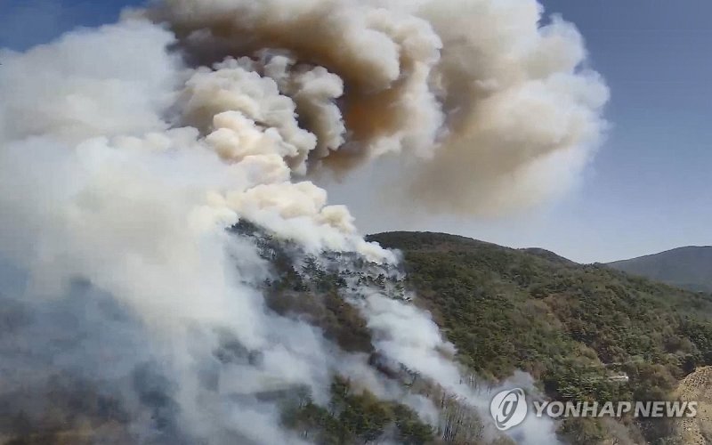 하동 옥종면 산불 (출처=연합뉴스)