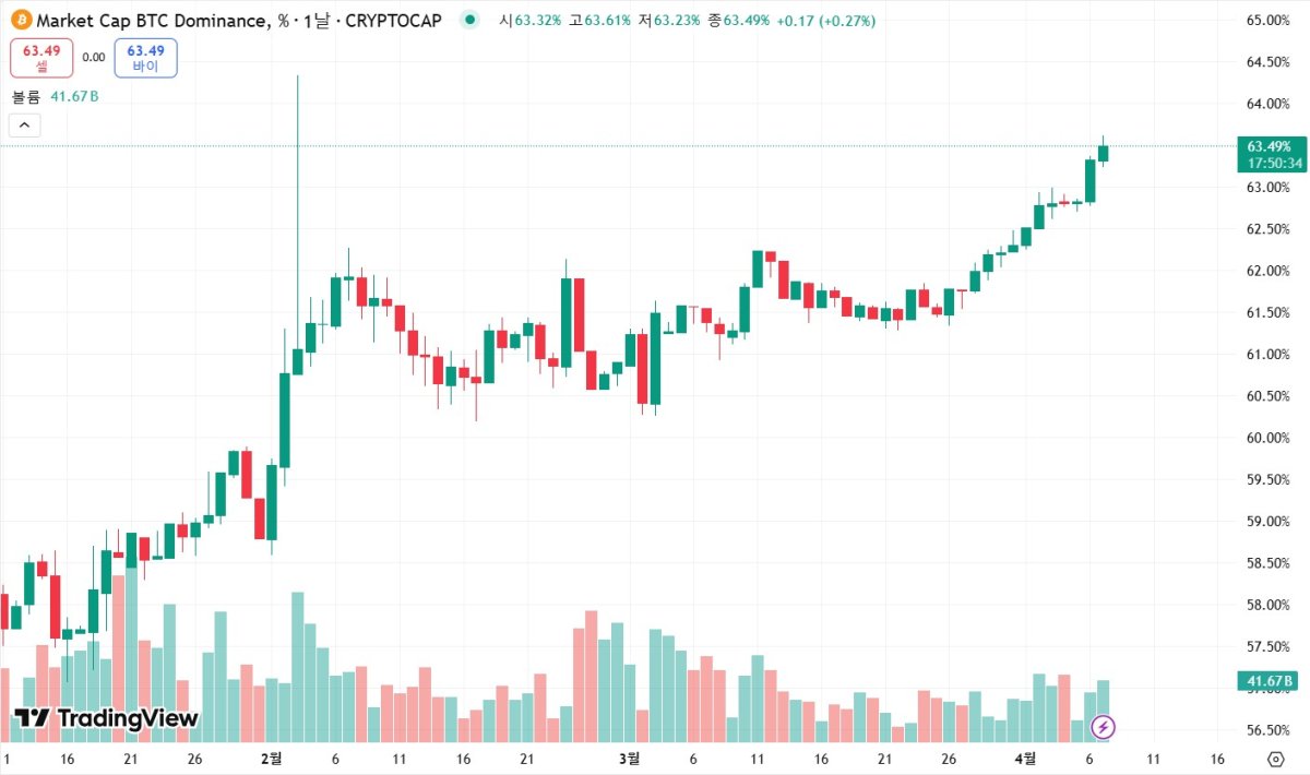 알트코인도 폭락