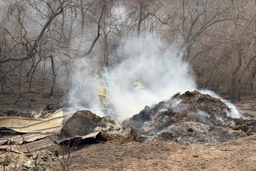 [고침] 사회("소똥 무섭더라고요"…경북 산불 출동한 인천…) (출처=연합뉴스)