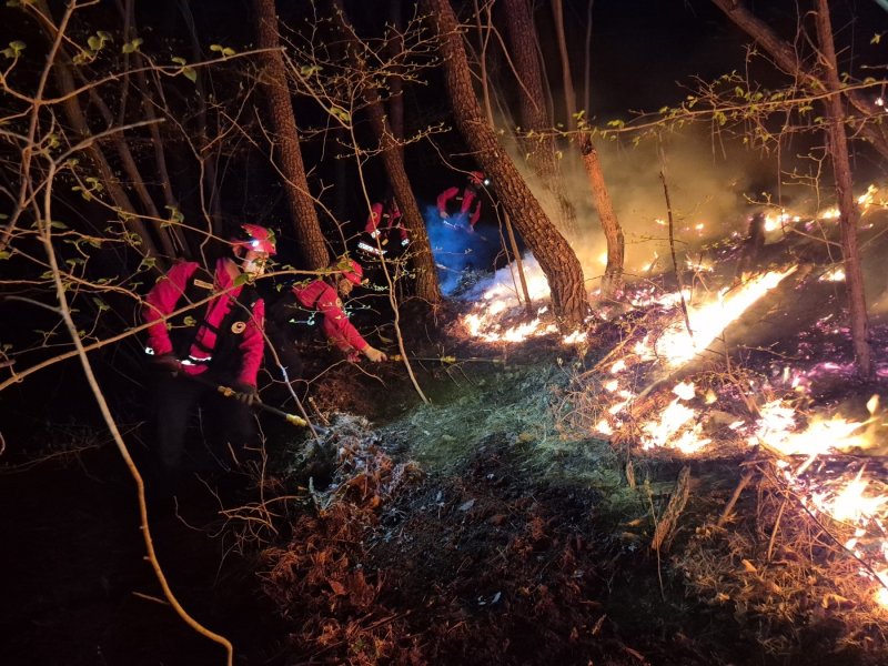7일 산불진화대원들이 경남 하동 옥종면에서 난 산불 야간 진화를 실시하고 있다.(산림청 제공. 재판매 및 DB금지.)