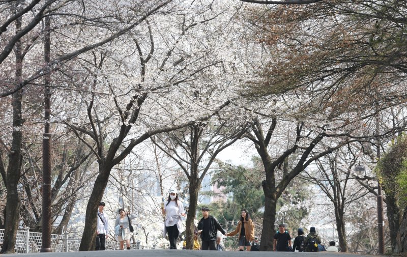 전국 낮 기온이 대체로 20도 안팎에 이르면서 포근한 날씨가 이어진 7일 오후 경기 수원시 팔달구 팔달산 산책로에서 봄꽃을 구경하며 시민들이 산책을 하고 있다. 2025.4.7/뉴스1 ⓒ News1 김영운 기자