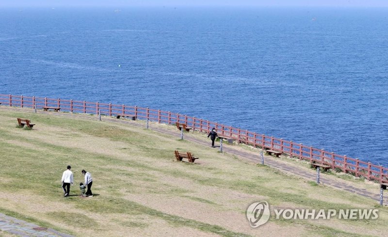 여유로운 제주의 봄 (출처=연합뉴스)