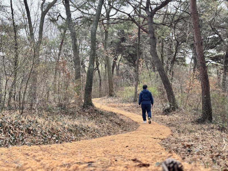 전북 고창 월곡 숲길. 고창군 제공