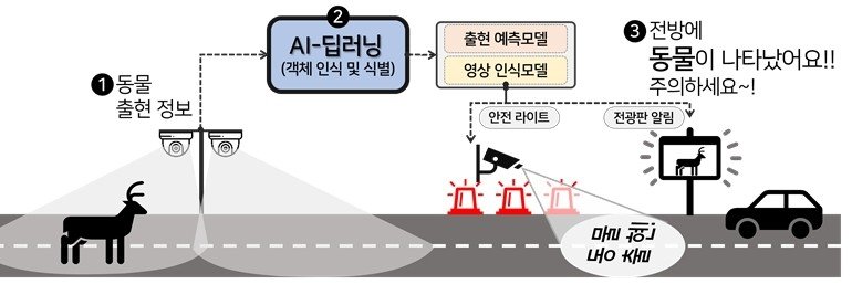 양평·평창 국도에 '로드킬 예방시스템'…150m 전 '경고' (출처=연합뉴스)