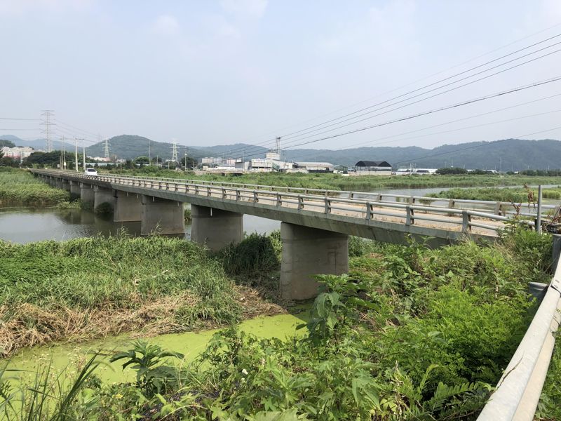 고양특례시 공릉천의 모습. 경기도 제공