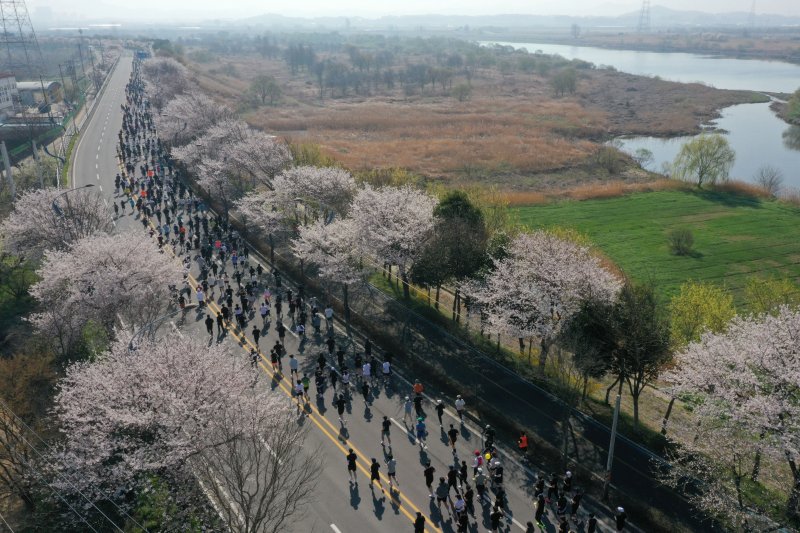 [나주=뉴시스] 이영주 기자 = 뉴시스광주전남본부·엠디에스앤씨 주최, 나주마라톤동호회가 주관하는 '제11회 나주영산강마라톤대회'가 열린 6일 오전 전남 나주시 영산강변에서 마라톤 10㎞코스 참가자들이 뛰고 있다. 2025.04.06. leeyj2578@newsis.com