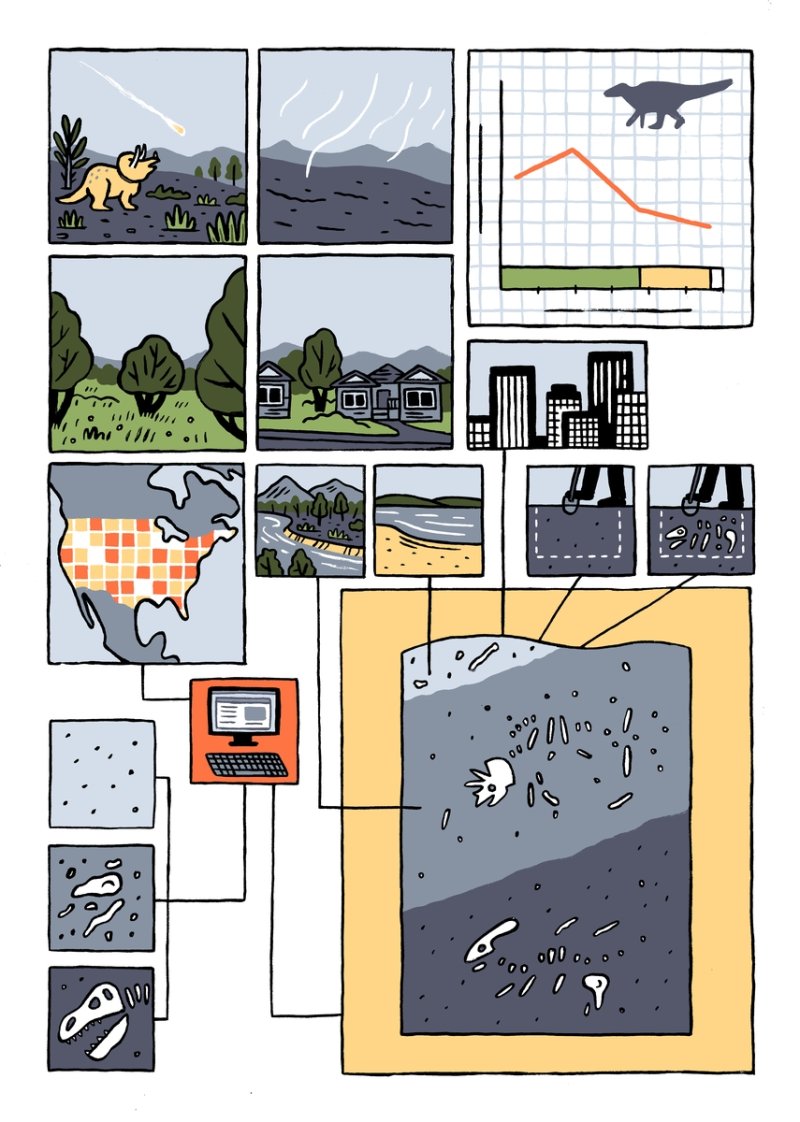 '백악기 후기 공룡 화석 기록 구조'를 표현한 그래픽 (출처=연합뉴스)