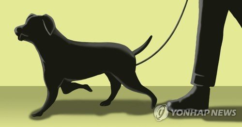 반려견(PG) (출처=연합뉴스)