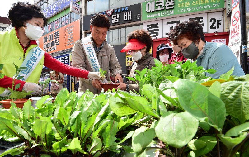 [대구=뉴시스] 이무열 기자 = 지난 2023년 대구 중구 동성로 야외광장에서 열린 ‘도시농업의 날 기념행사’에서 시민들이 딸기, 치커리 등 모종을 받아 가고 있다. 2023.04.11. lmy@newsis.com