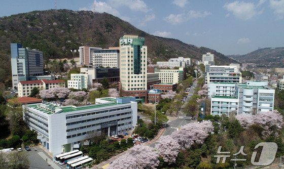 인제대학교 전경.(인제대 제공. 재판매 및 DB금지)