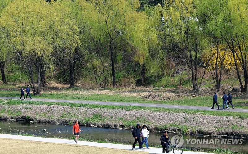 싱그러운 봄 산책 (출처=연합뉴스)