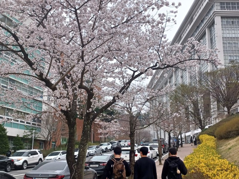 자료사진/뉴스1