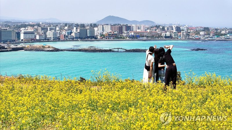 함덕의 봄 (출처=연합뉴스)