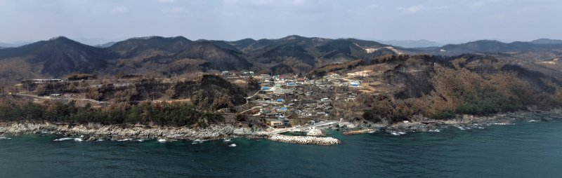 [영덕=뉴시스] 김금보 기자 = 10일 경북 영덕군 일대가 산불에 훼손돼 있다. 2025.04.10. kgb@newsis.com