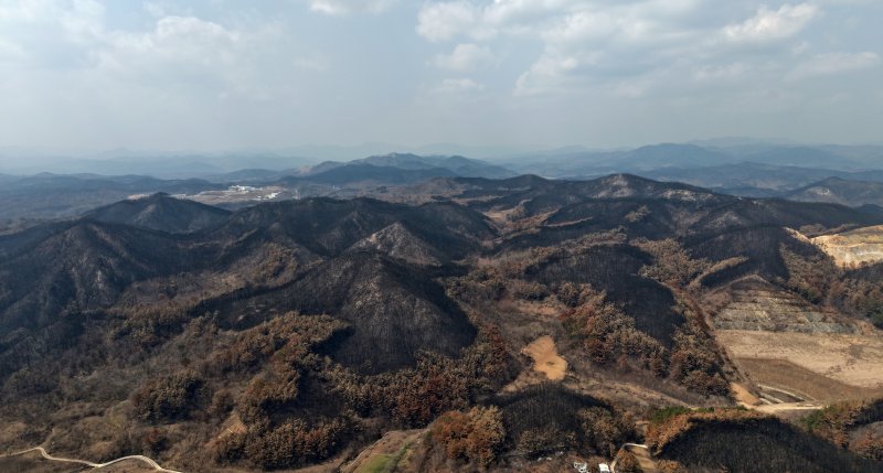 [영덕=뉴시스] 김금보 기자 = 10일 경북 영덕군 일대가 산불에 훼손돼 있다. 2025.04.10. kgb@newsis.com