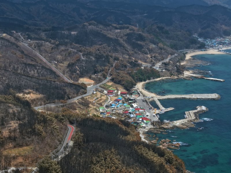 [영덕=뉴시스] 김금보 기자 = 10일 경북 영덕군 일대가 산불에 훼손돼 있다. 2025.04.10. kgb@newsis.com