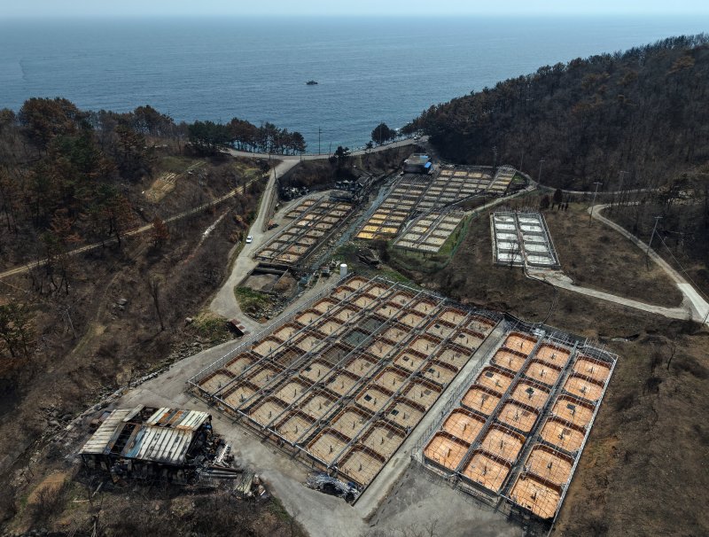 [영덕=뉴시스] 김금보 기자 = 10일 경북 영덕군 영덕읍 석리 한 양식장이 산불에 전소돼 있다. 2025.04.10. kgb@newsis.com