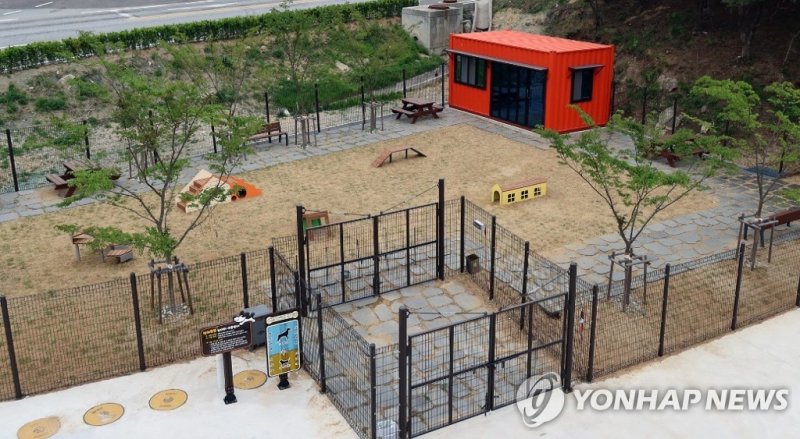 강릉시 동물사랑센터 반려동물 놀이터 (출처=연합뉴스)