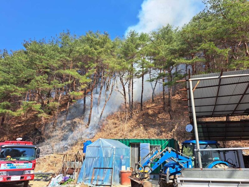 양구에서 발생한 산불 (출처=연합뉴스)