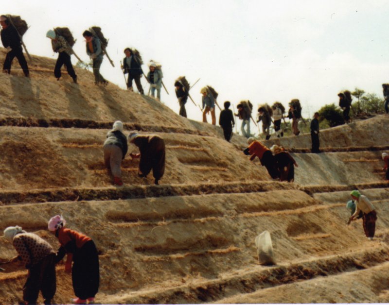 [서울=뉴시스] 1973~1977년 영일만 복구사진 2023.11.30. photo@newsis.com *재판매 및 DB 금지 *재판매 및 DB 금지