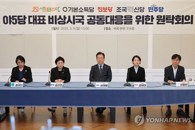민주당 등 5개 정당 원탁회의 (출처=연합뉴스)