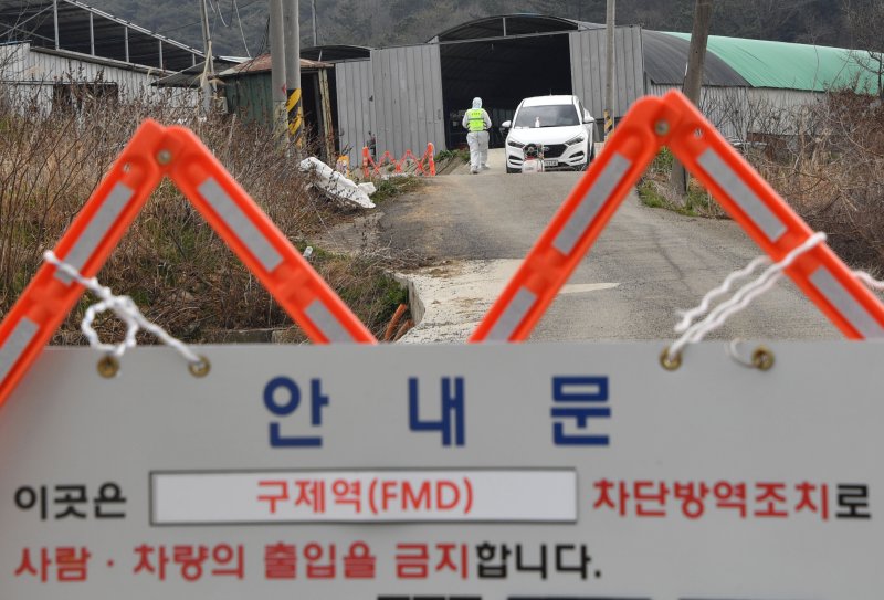 [무안=뉴시스] 변재훈 기자 = 지난달 16일 오전 전남 무안군 일로읍 소재 구제역 발생 소 사육농장에서 방역 당국이 출입 통제선을 설치, 소독을 준비하고 있다. 2025.03.16. wisdom21@newsis.com