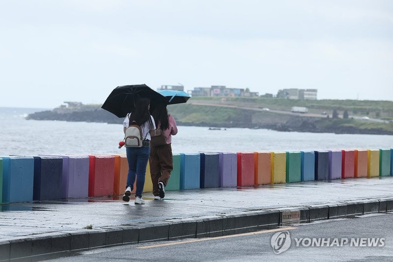 비 내리는 제주 (출처=연합뉴스)