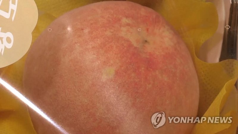 복숭아 황도 (출처=연합뉴스)