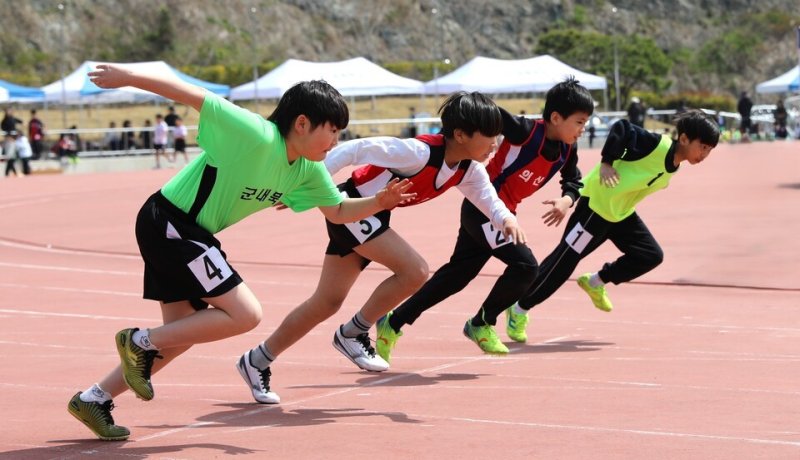 진도교육청의 '교육장배 학년별 육상경기 대회' 에서 학생들이 질주하고 있다.(전남도교육청 제공, 재판매 및 DB 금지)