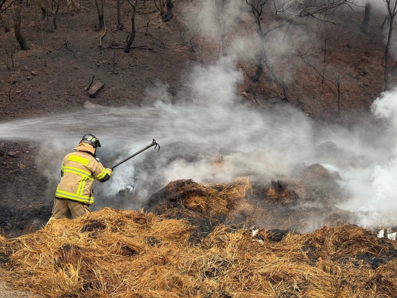 "소똥이 이렇게 무서울줄이야"…영남 산불 진화 투입됐던 인천 소방관