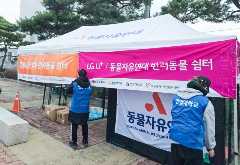 "재난현장 반려동물 구호 강화" 돌봄까지 책임진 LGU+