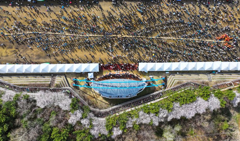 13일 충남 당진시 송악읍 기지시줄다리기박물관 일원에서 열린 기지시줄다리기 축제에서 참가자들이 줄을 당기고 있다. 2025.4.13/뉴스1 ⓒ News1 이동해 기자