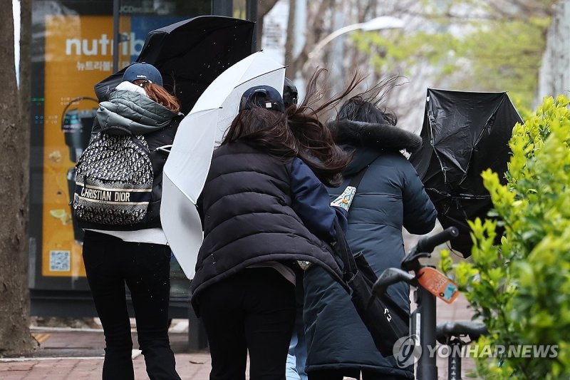 강풍에 자꾸 뒤집히는 우산 (출처=연합뉴스)