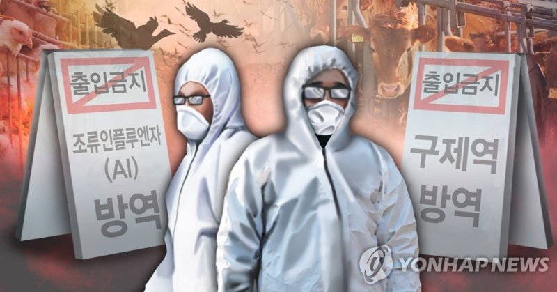 구제역ㆍAI 방역(PG) (출처=연합뉴스)