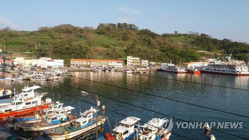 통영시 삼덕항 (출처=연합뉴스)