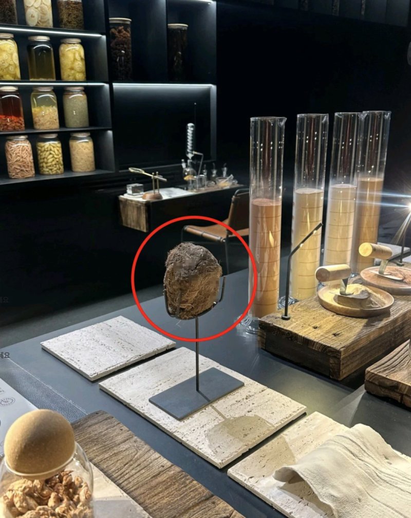 [서울=뉴시스] 코끼리 똥으로 만든 디저트의 모습. (사진=샤오샹모닝뉴스)
