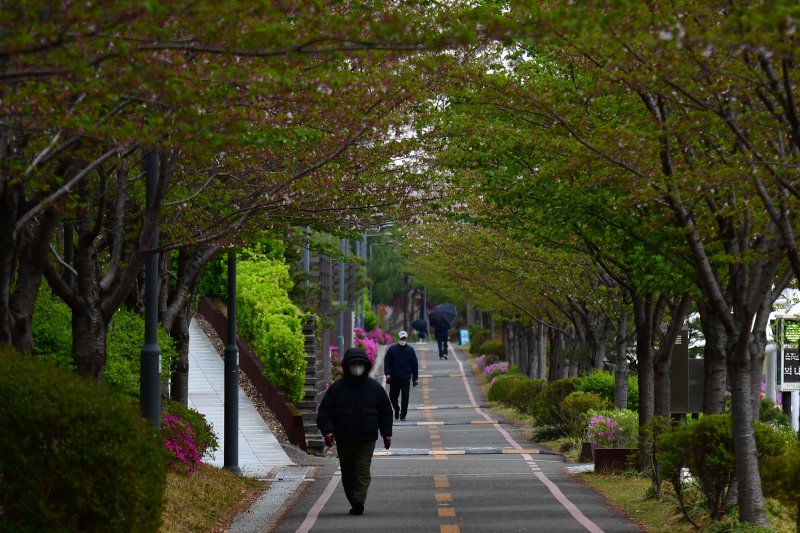 아침 기온이 뚝떨어진 14일 경북 포항시 남구 철길숲에서 두터운 차림의 시민들이 산책하고 있다. 2025.4.14/뉴스1 ⓒ News1 최창호 기자