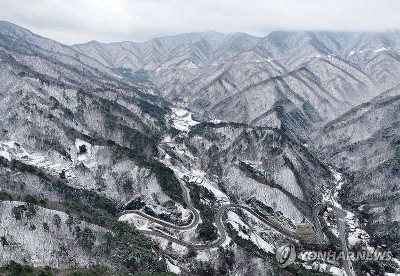 춘설에 겨울로 돌아간 백두대간 (출처=연합뉴스)