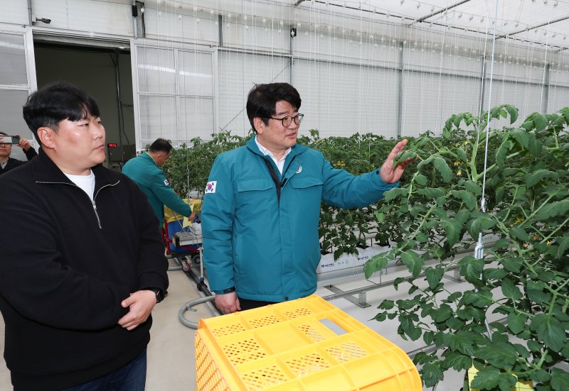 권재한 농촌진흥청장이 14일 충남 천안의 시설 토마토 농장을 찾아 토마토뿔나방 등 주요 병해충에 대한 방제 추진 상황을 점검했다. (사진 = 농진청 제공) 2025.04.14. *재판매 및 DB 금지